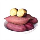 Wholesale Sweet Potatoes Suppliers From China