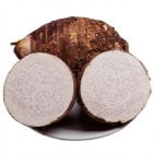 Fresh Taro Supplier from China